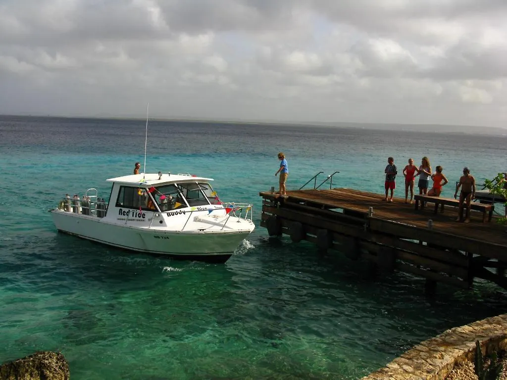 Apart Otel Belmar Oceanfront Apartments Bonaire