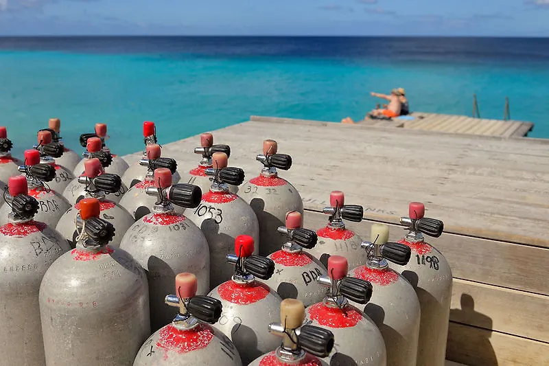 Belmar Oceanfront Apartments Bonaire Aparthotel