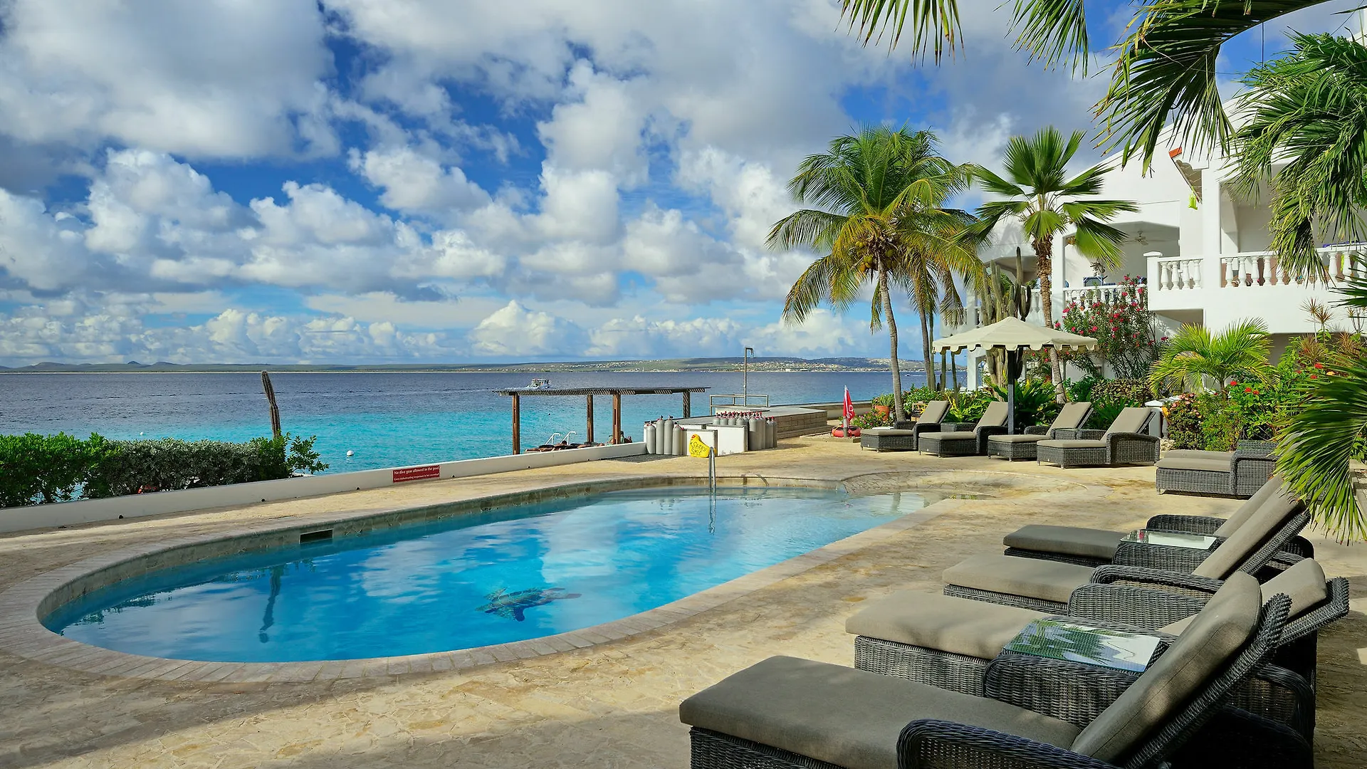 Belmar Oceanfront Apartments Bonaire Aparthotel